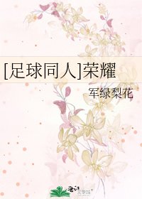 [足球同人]榮耀